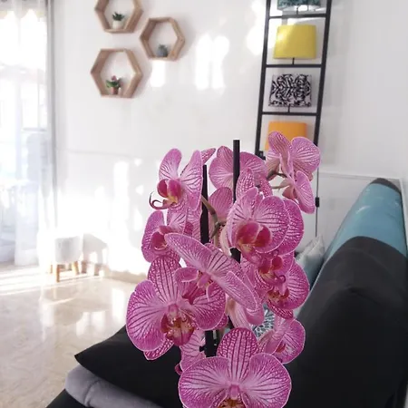 Raffine Apartment Cannes