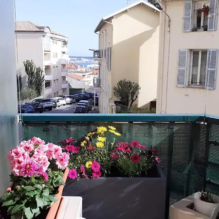 Raffine * Cannes