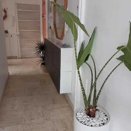 Raffine Apartment *