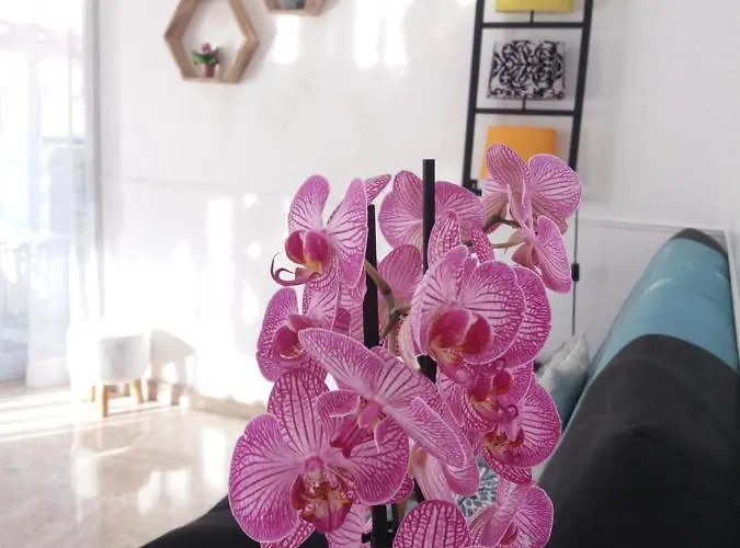 Raffine דירה קאן